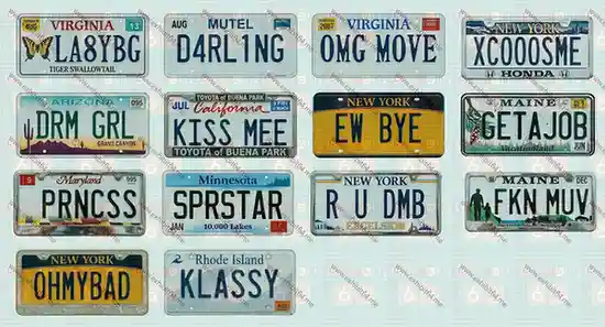 Funny and Miscellaneous License Plates decal sheet